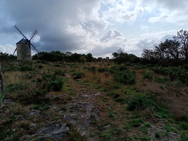 Mosaïque. Beau-03.jpg