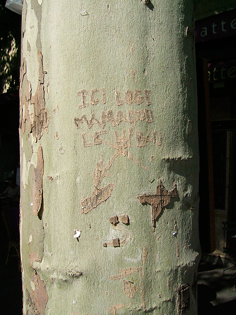 Mamadou... MamadouLeHibou.jpg