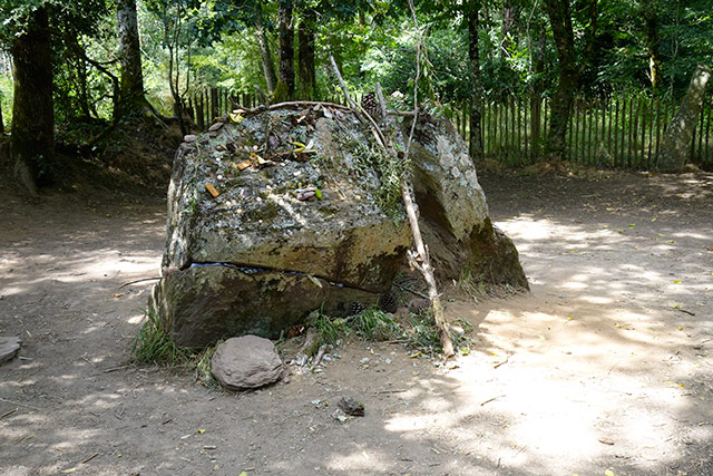 Tombeau de Merlin. Merlin1.jpg