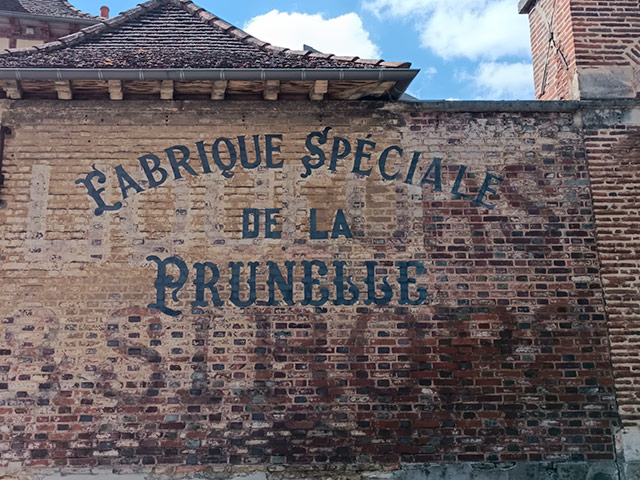 Prunelle.jpg