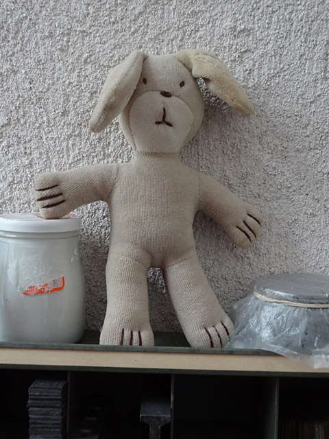 Lapin. alsace-lozere-07.jpg