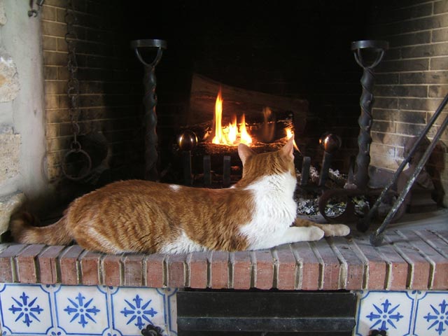 Chat Chat
