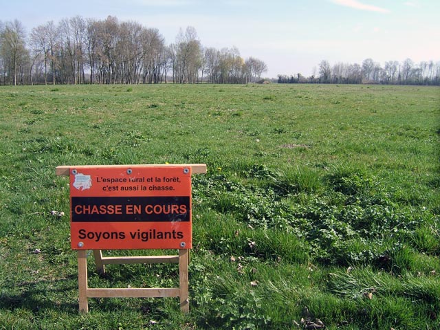 Chasse Chasse