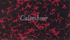 Calembour