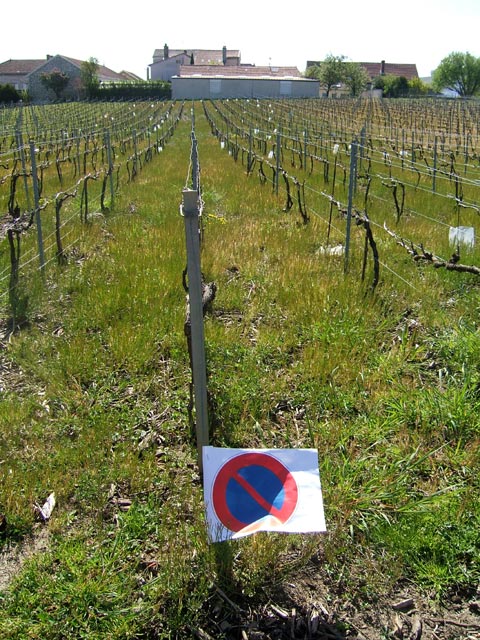 Interdiction Interdiction