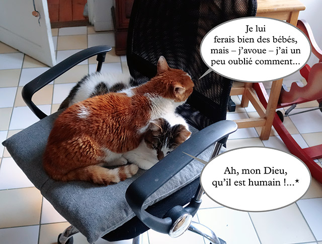 Une tentative... tentative.jpg