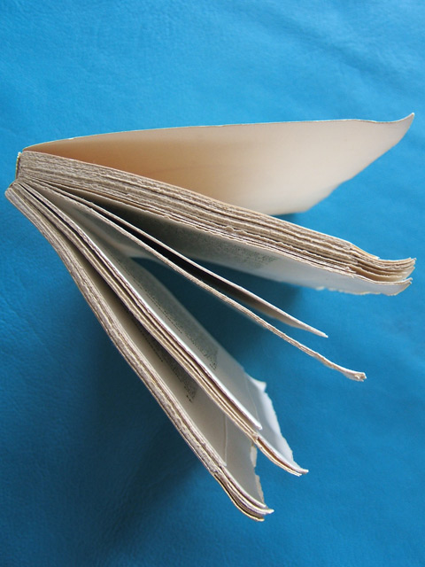 Instructions aux domestiques, 2 Instructions aux domestiques, 2