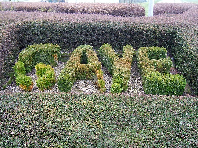 Typographie végétale Typographie végétale